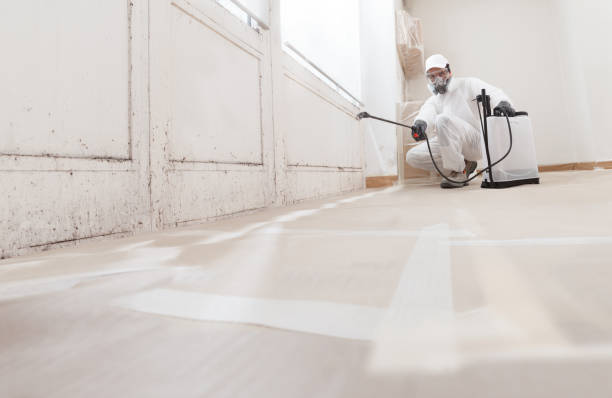 24/7 Emergency Mold Remediation experts in Upper Black Eddy, PA